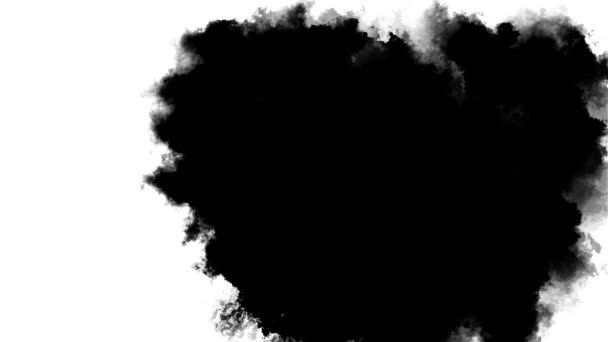 Ink Splatter Transition Black White Seamless Loop Turbulent Painting Blot — Stock Video