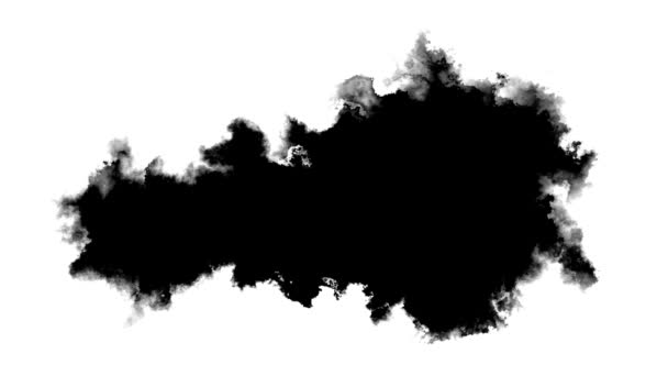 Transition Des Éclaboussures Encre Boucle Transparente Noire Blanche Peinture Turbulente — Video