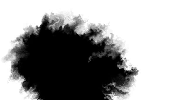Ink Drops Transition Black Tło Transition White Ink Drops Spadające — Wideo stockowe
