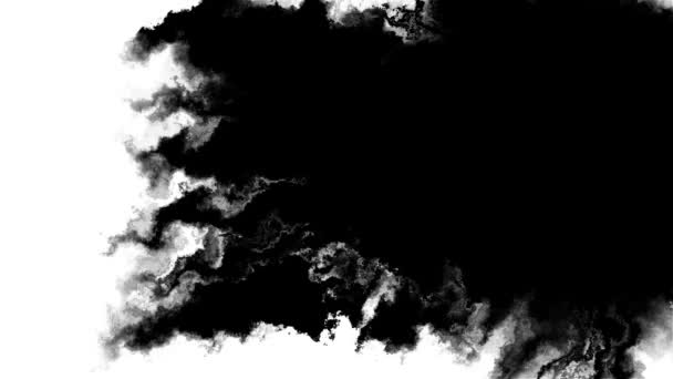 Αφηρημένη Μελάνη Διάχυση Μαύρο Άσπρο Πινέλο Πινέλου Πινέλο Μελάνι Κηλίδα — Αρχείο Βίντεο