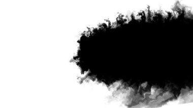 Mürekkep akışı, çerçeve mürekkep sıçratma bileşimini doldurur. Mürekkep sıçraması. Mürekkep fırçası darbesi, sıvı sanat geçmişi, üst üste bindirme, alfa suluboya mat. Yavaş çekim geçişi efekti gösterir, izole akış.