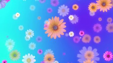 Yavaşça hareket eden renkli papatya çiçekleri gelişigüzel çiçek açıyor ve dönen hareketin arka planında baş aşağı hareket ediyor. Romantik, doğa, sevgililer günü, çiçek temalı projeler, evlilik yıldönümü.