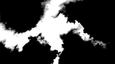 Güzel Siyah Suluboya, Beyaz Akışkan Zarafet Arkaplanına Geçiş Yapıyor. Sanatsal mürekkep sıçrar, damlacıklar düşer. Mürekkep kanıyor, damlıyor, siyah boya dökülüyor, suluboya karışıyor..