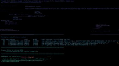Karanlık bir arka plan, siber güvenlik teknolojisi ve veri bilimi üzerinde soyut ikili kodların parlayan çizgileriyle gelecekçi dijital veri akışı programlama kodu. Programlama kodu yazılım kaynak kodu. Üç Boyut
