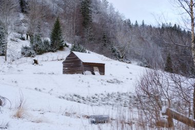 Eski bir alet kulübesi, karın ortasında ıssız, Norveç kışında..