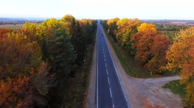 Hava manzaralı insansız hava aracı, güneşli bir sonbahar gününde, kırsal köy yolunun üzerinde, sinematik, canlı, renkli ormanlarla çevrili bir şekilde gidiyor..