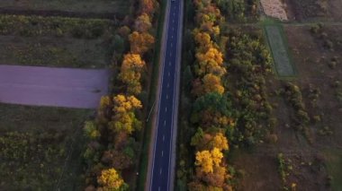 Hava manzaralı insansız hava aracı, güneşli bir sonbahar gününde, kırsal köy yolunun üzerinde, sinematik, canlı, renkli ormanlarla çevrili bir şekilde gidiyor..