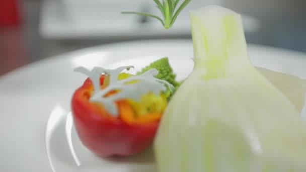 Cook Decorating Dish Vegetables Salmon Plate — Stock Video
