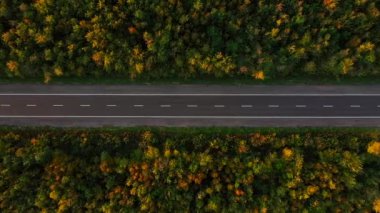 Tepeden tırnağa hava manzarası, akşamüstü alacakaranlıkta ormanda bir kır yolu boyunca araba sürmek. Sinematografi dronu çam ormanında çakıllı bir yolda uçuyor.
