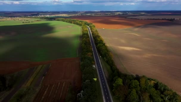 Vista Aérea Arriba Abajo Conduciendo Largo Camino Rural Bosque Atardecer — Vídeos de Stock