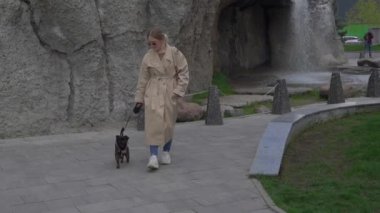 Şehir Bölgesi 'nde bej renkli trençkot giyen evcil bir kız. Ağır çekimde kapat. Siyah brabancon ilerliyor.