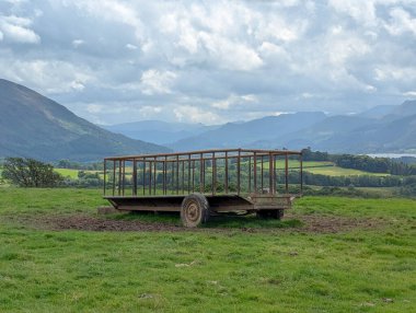 Manzaralı göl bölgesindeki çimenli arazide sığır besleme karavanı