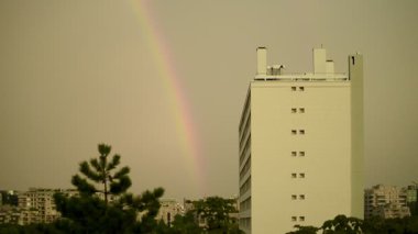 Yaşlı bir kadının, bahçesinden olgun, sulu ahududu topladığı yakın plan bir fotoğraf. Video aktif bir yaşlılık anı ve taze, organik bir yaz hasadı yakalıyor. Tam HD.