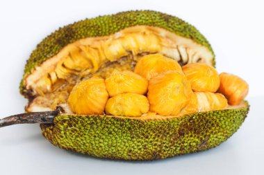 A fresh cempedak (or chempedak) fruit, cut open to reveal the bright yellow, sweet, and aromatic pulp and seeds inside. Captured on a white background.