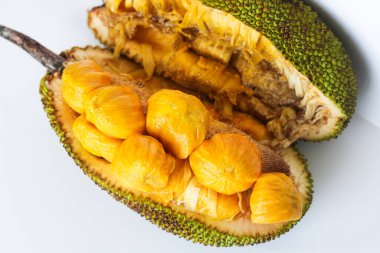 A cempedak (or chempedak) fruit, cut open to reveal the bright yellow, sweet, and aromatic pulp and seeds inside.