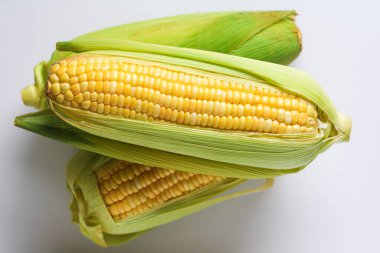 Three fresh ears of corn, with two of the green husks partially peeled, revealing bright yellow kernels on a white background.