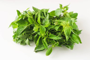 Closeup of a fresh bunch of daun kemangi, or lemon basil, on a white background, showing its vibrant green leaves and small flower buds.