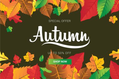 Yaprak pankartıyla sonbahar mevsimi. Mevsimlik harfler. Web afişi vektör illüstrasyonuName 