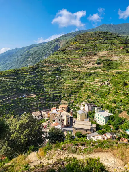 Cinque Terre, Liguria, İtalya 'da Vernazza' dan Corniglia 'ya Manzaralı Yürüyüş Yolu