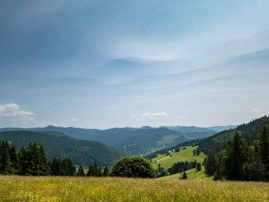 Kara Orman, Almanya 'da Todtnauberg' in Manzaralı Yeşil Tepeler, Alp Çayırları ve Huzurlu Dağ Manzarası