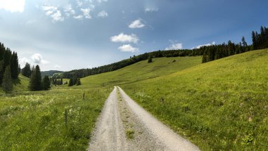 Kara Orman, Almanya 'da Todtnauberg' in Manzaralı Yeşil Tepeler, Alp Çayırları ve Huzurlu Dağ Manzarası
