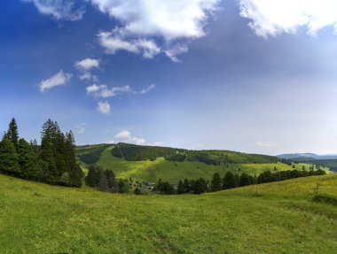 Kara Orman, Almanya 'da Todtnauberg' in Manzaralı Yeşil Tepeler, Alp Çayırları ve Huzurlu Dağ Manzarası