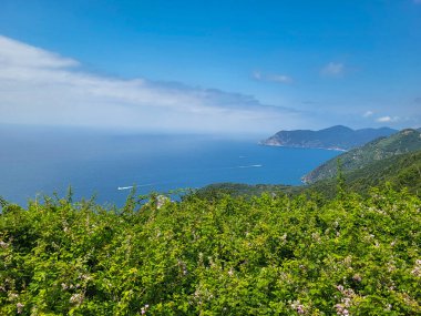 Cinque Terre, Liguria, İtalya 'da Vernazza' dan Corniglia 'ya Manzaralı Yürüyüş Yolu
