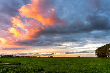 Hollanda, Giethoorn 'un sakin kanalları boyunca uzanan büyüleyici geleneksel Hollanda evi samanlı çatılar, canlı çiçek bahçeleri ve pitoresk ahşap köprüler ile süslenmiş.
