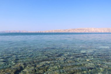 Temiz, şeffaf suyu olan güzel bir deniz koyuna. Yüksek kalite fotoğraf