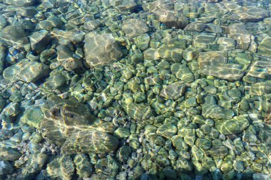 Açık mavi deniz suyunda kayalık taban. Yüksek kalite fotoğraf