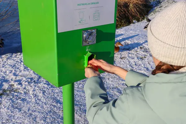 Ördekler kışın yiyecek arar. Kadın yeşil yalaktan tahıl alıyor.