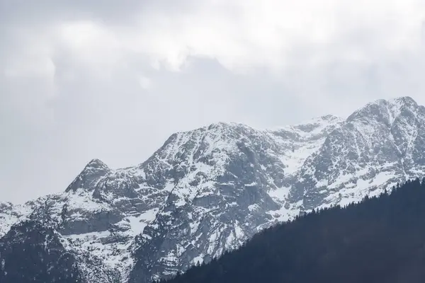 İlkbaharda Avusturya 'da karla kaplı dağlar. Yüksek kalite fotoğraf