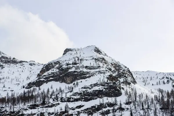 İlkbaharda Avusturya 'da karla kaplı dağlar. Yüksek kalite fotoğraf