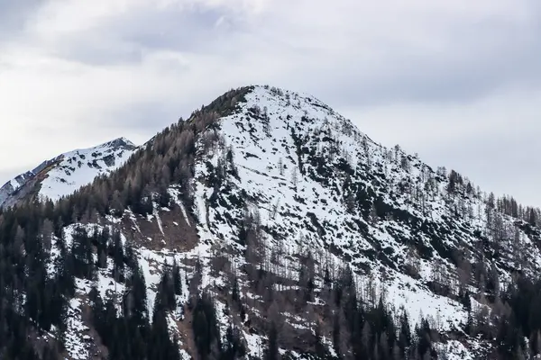 İlkbaharda Avusturya 'da karla kaplı dağlar. Yüksek kalite fotoğraf