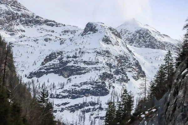 İlkbaharda Avusturya 'da karla kaplı dağlar. Yüksek kalite fotoğraf