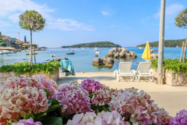 Yaz manzaralı, güneşli bir körfez. Yüksek kalite fotoğraf