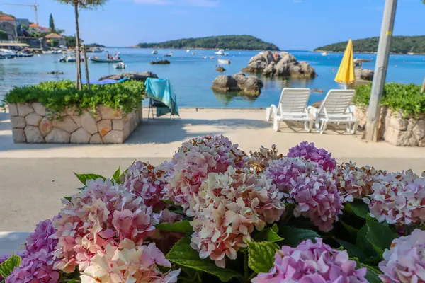 Yaz manzaralı, güneşli bir körfez. Yüksek kalite fotoğraf