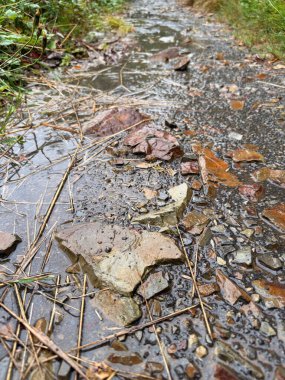 Yağmurdan sonra bir dağ yolunun dikey çekimi. Dağlarda kayalık bir patika. Su damlacıkları patika boyunca akar. Yağmurlu havada yürüyüş..