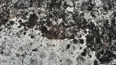 Yıpranmış, desenli, koyu ve açık gri benekli, taş ya da betona benzeyen ve liken büyümesi olan yüzeyin yakın görüntüsü..