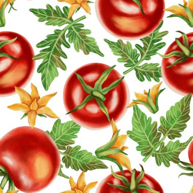 Beyaz arka planda taze kırmızı domatesli kusursuz suluboya deseni. Suluboya domatesler. Bu el yapımı botanik desen kumaş, ambalaj ve mutfak dekorasyonu için mükemmel..