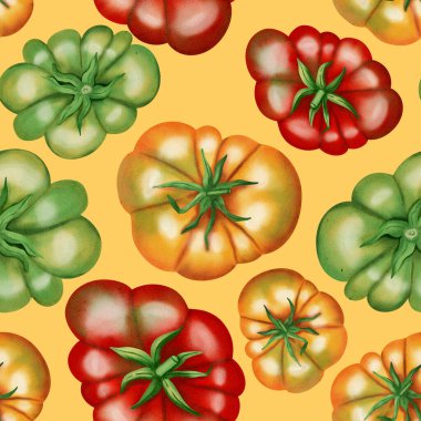 Kırmızı, sarı ve yeşil domatesler. Beyaz arka planda taze domatesli kusursuz suluboya deseni. Suluboya domatesler. Kumaş, ambalaj ve mutfak dekorasyonu için botanik desen.