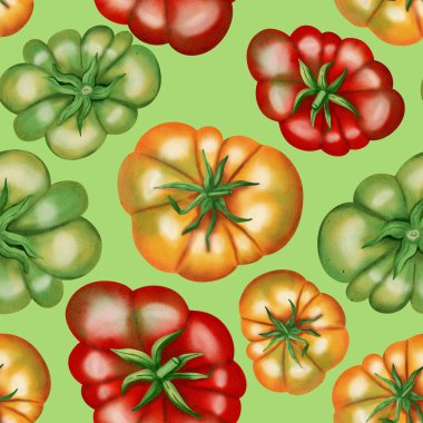Kırmızı, sarı ve yeşil domatesler. Beyaz arka planda taze domatesli kusursuz suluboya deseni. Suluboya domatesler. Kumaş, ambalaj ve mutfak dekorasyonu için botanik desen.
