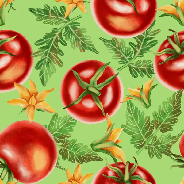 Beyaz arka planda taze kırmızı domatesli kusursuz suluboya deseni. Suluboya domatesler. Bu el yapımı botanik desen kumaş, ambalaj ve mutfak dekorasyonu için mükemmel..