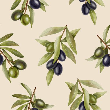 Elle boyanmış, dikişsiz, yeşil ve siyah zeytin dalları ve yapraklarıyla. Kumaş, ambalaj ve tasarım için mükemmel..