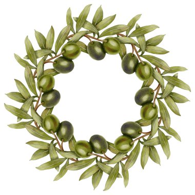 Yeşil zeytin ve zeytin yapraklı elle boyanmış suluboya çelenk. Zeytin dalları, yapraklar ve meyveler. Dallardan oluşan yuvarlak bir zeytin ağacı. Menü, ambalaj tasarımı, düğün için