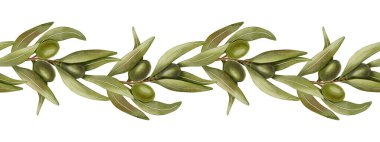 Süslü suluboya, dalları siyah ve yeşil zeytinlerle süslenmiş. Zeytin dalları, yapraklar ve meyveler. Suluboya el çizimi çizimi. Menü, ambalaj tasarımı, düğün davetiyesi