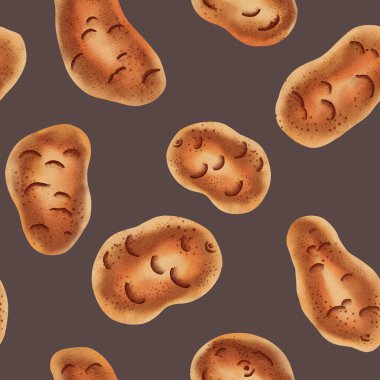 Patatesin suluboya çizimi. El yapımı patates pürüzsüz desen. Suluboya gıda çizimi. Sebzeler. Çiftlik Ürünleri Ambalaj ve kumaşlar için gıda tasarımı