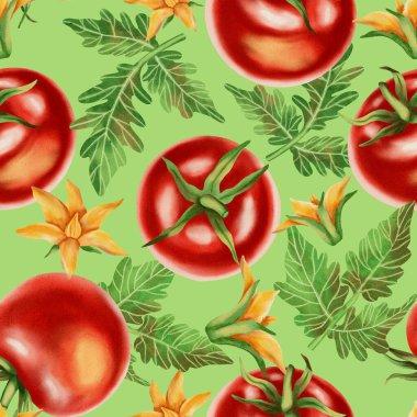 Taze kırmızı domatesli kusursuz suluboya deseni. Suluboya domatesler. Bu el yapımı botanik desen kumaş, ambalaj ve mutfak dekorasyonu için mükemmel..