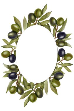 Yeşil zeytin ve zeytin yapraklı elle boyanmış suluboya çelenk. Zeytin dalları, yapraklar ve meyveler. Dallardan oluşan yuvarlak bir zeytin ağacı. Menü, ambalaj tasarımı, düğün için