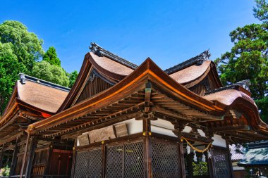  Shirasu Tapınağı - Takashima City, Shiga Bölgesi, Japonya 'da bir türbe